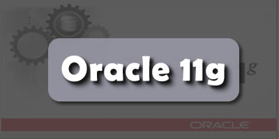 oracle | Chinarelli TI (FPw)